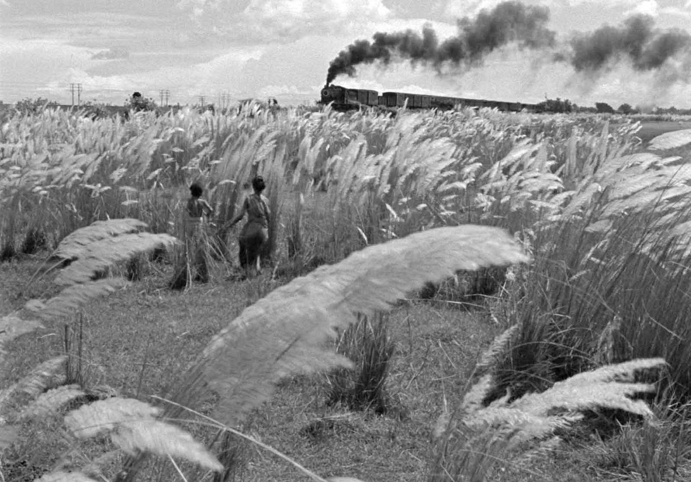 still from Pather Panchali (1955) - a black and white image of two children in a field of grass watching a steam engine pass by in the background under a dark trail of exhaust